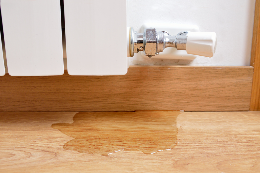Palm Harbor Plumbing Leak Detection