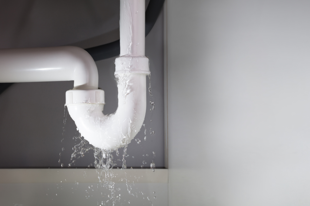 Plumbing Leak Detection East Lake