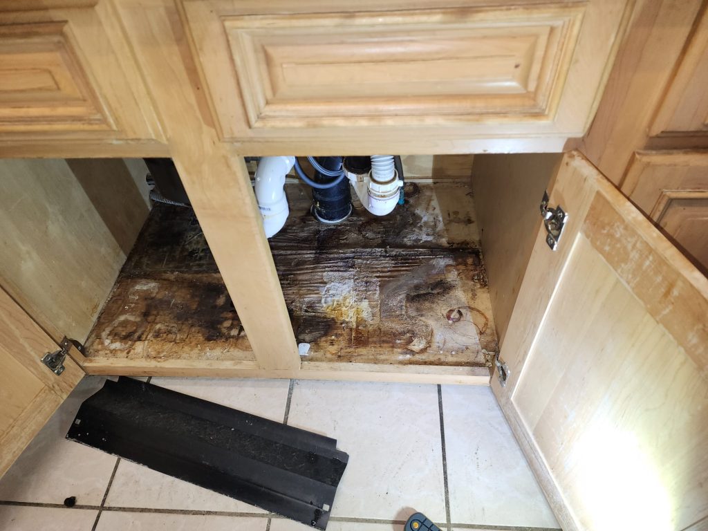 Plumbing Leak Detection Palm Harbor