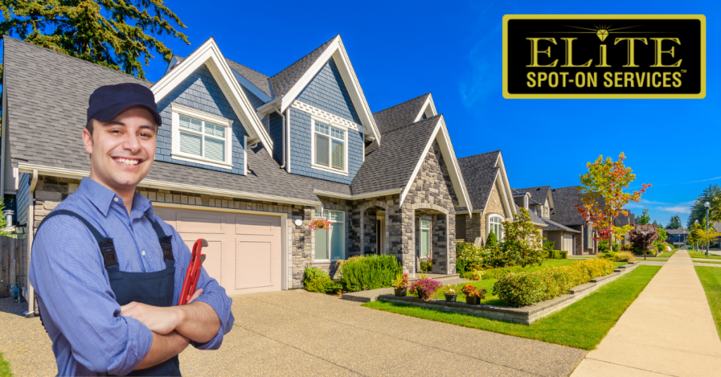 Elite photo for blog